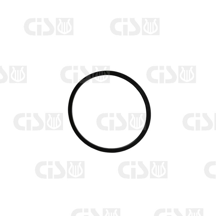 Spare gasket for extractor 