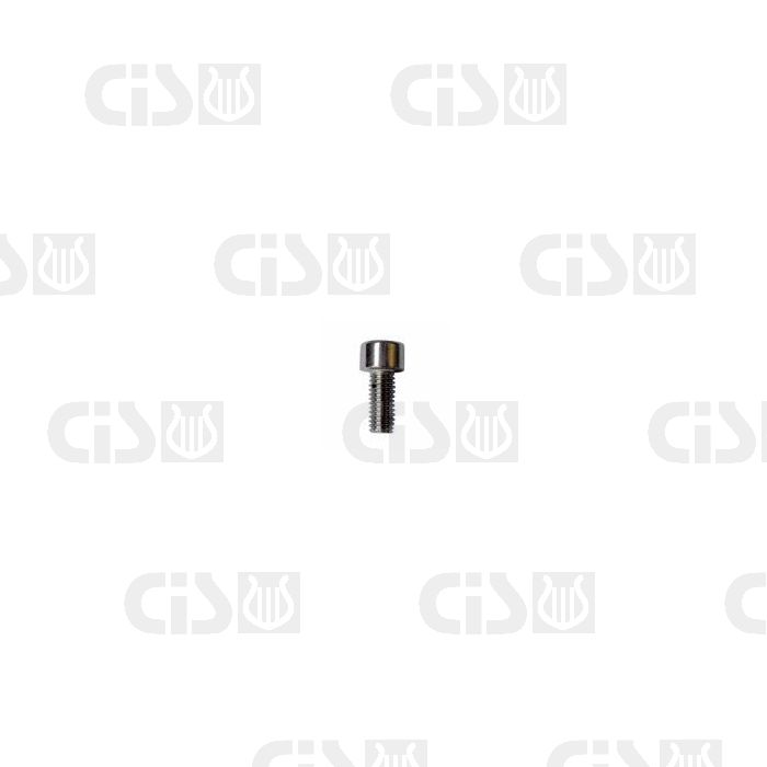 Solenoid valve screw - M4x10 Inox