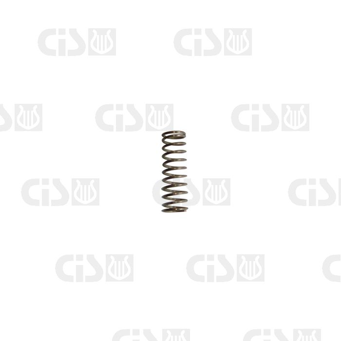 Spring for nozzle holder compatible with Faema machines E61 -(non-original product)